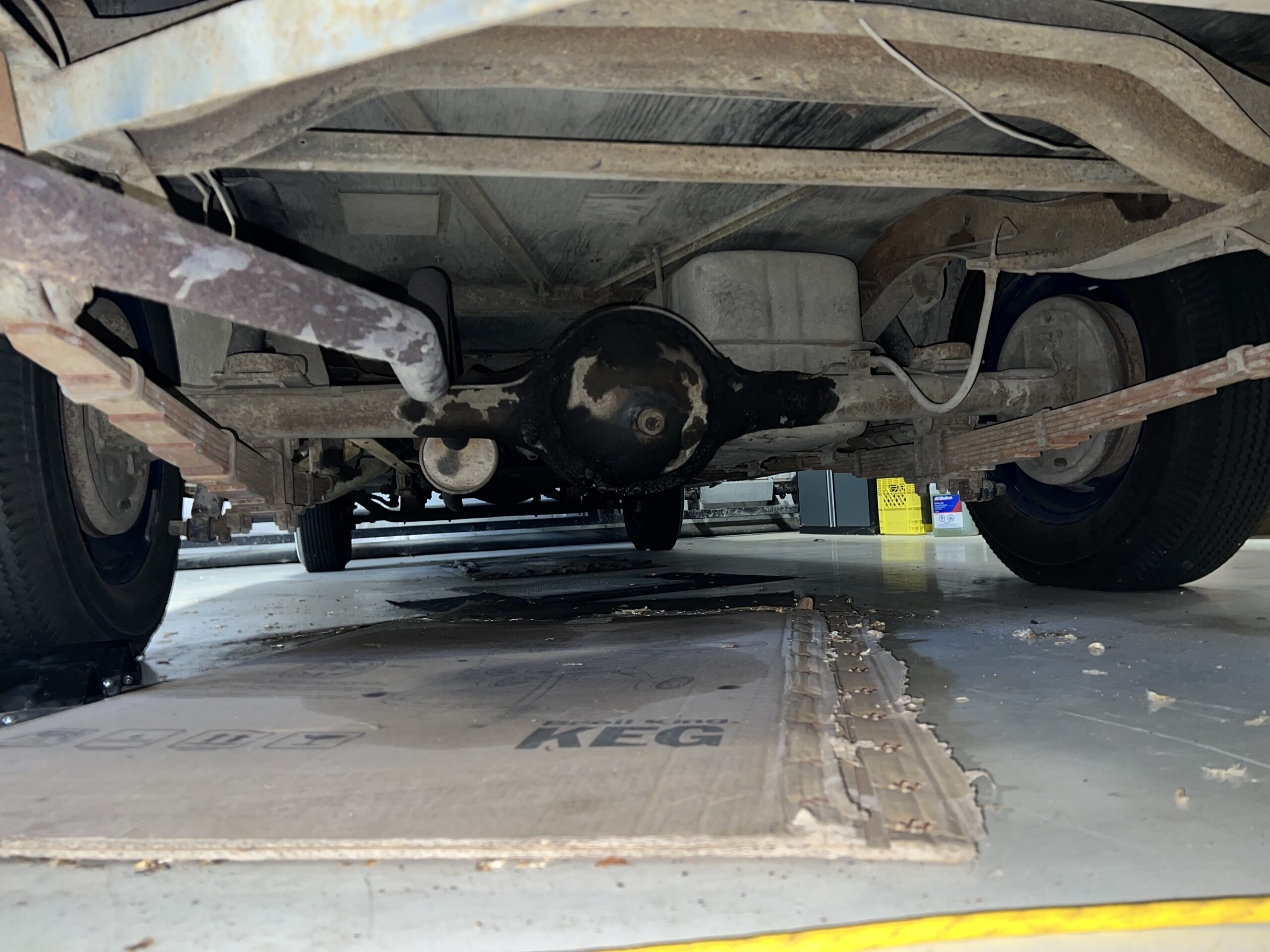 Photo 2024-01-17, 1 03 28 PM